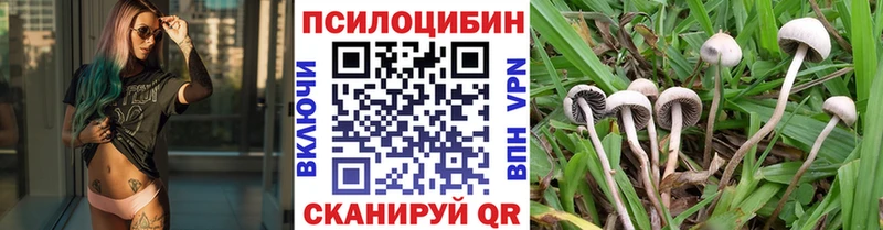 Галлюциногенные грибы MAGIC MUSHROOMS  Купить  Светлоград 